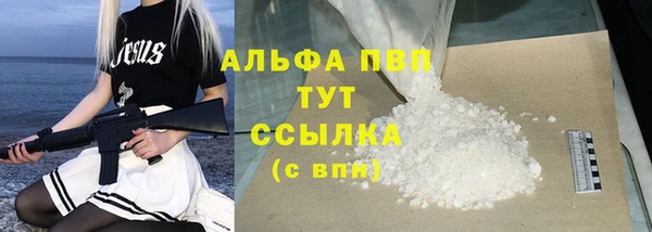 гашик Нефтекумск