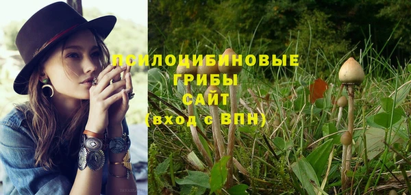 гашик Нефтегорск