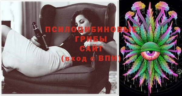 гашик Нефтегорск