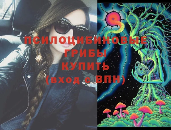 гашик Нефтегорск