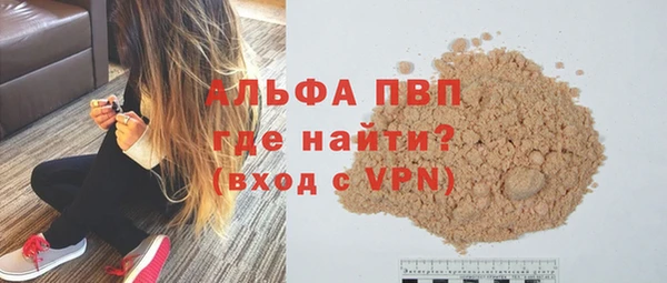 гашик Нефтекумск