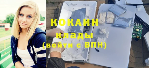 гашик Нефтекумск