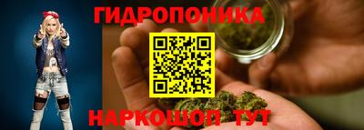spice Волгодонск