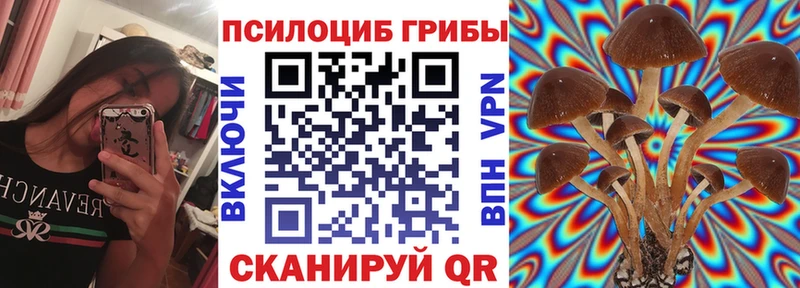 даркнет сайт  Ивантеевка  Галлюциногенные грибы Cubensis 