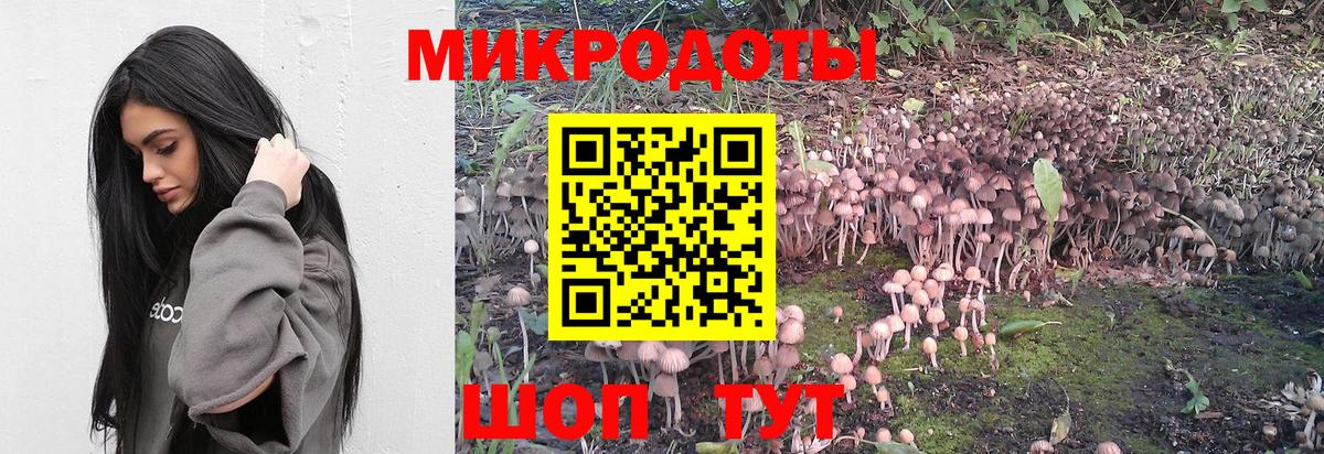 Псилоцибиновые грибы Cubensis  Ивантеевка 