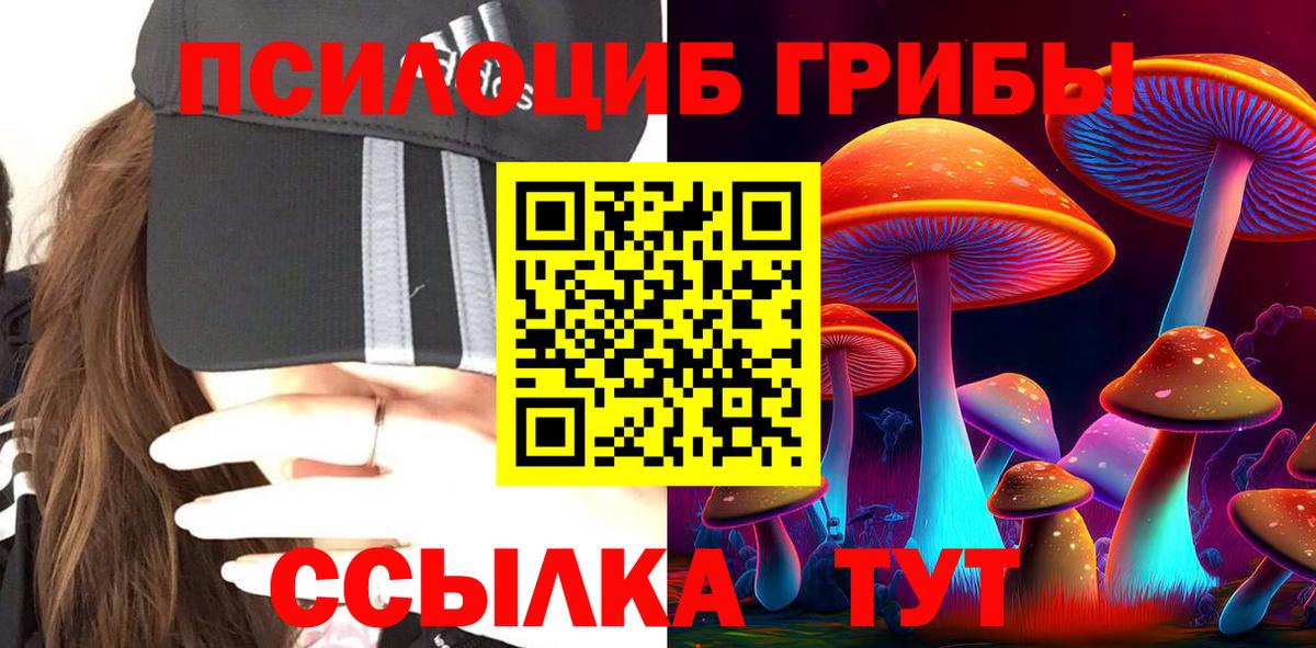 Псилоцибиновые грибы мицелий  Галлюциногенные грибы GOLDEN TEACHER  Вход с VPN  Ивантеевка 